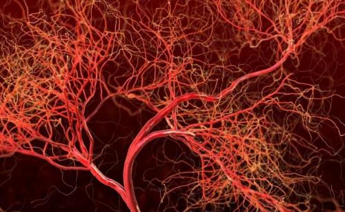 Вы точно этого не знали. Вы этого точно не знали! (12 фото + видео) 17