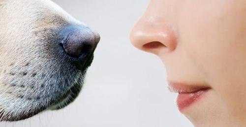 Вы точно этого не знали. Вы этого точно не знали! (12 фото + видео) 14