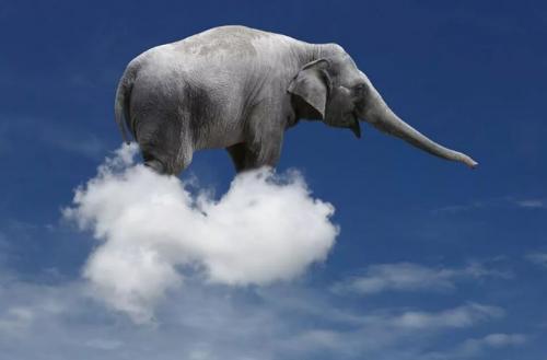 Вы точно этого не знали. Вы этого точно не знали! (12 фото + видео) 18