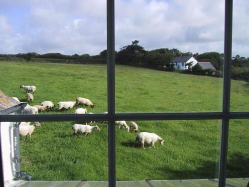 Деревянные или пластиковые окна. Разбираемся, какие окна лучше: пластиковые или деревянные