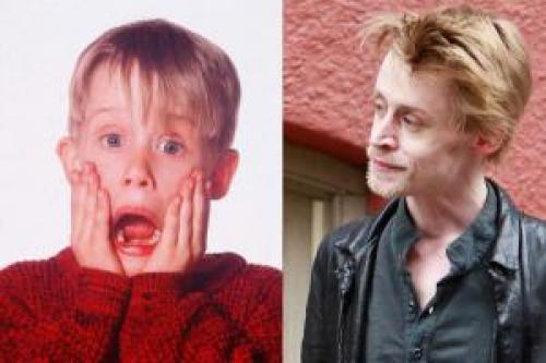 Деревянные или пластиковые окна. Разбираемся, какие окна лучше: пластиковые или деревянные