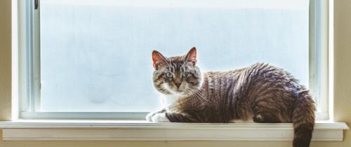 Самостоятельная регулировка пластиковых окон. Советы по самостоятельной регулировке пластиковых окон 06