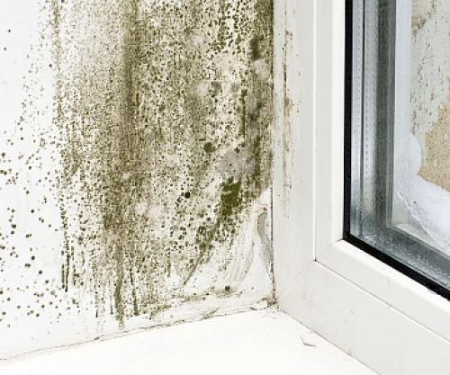 Что лучше пластиковые или алюминиевые окна. Какие окна лучше: пластиковые или алюминиевые? 12